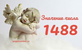 Значение числа 1488 в Ангельской нумерологии 1488 значение