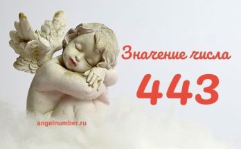 Значение числа 443 в Ангельской нумерологии значение числа 443