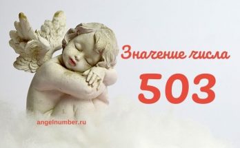 Значение числа 503 в Ангельской нумерологии значение числа 503