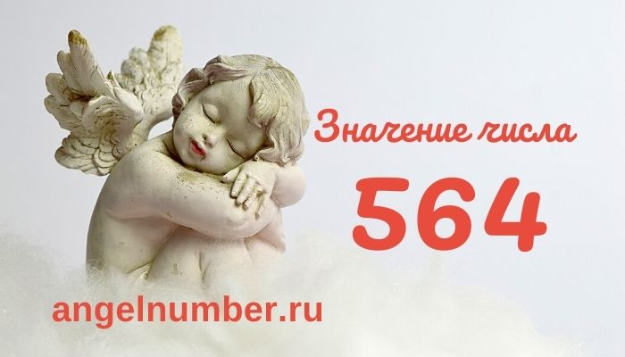 значение числа 564 ангельская нумерология