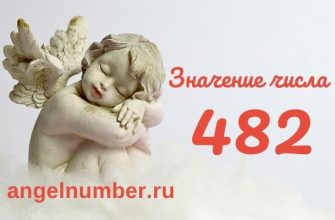 значение числа 482 ангельская нумерология