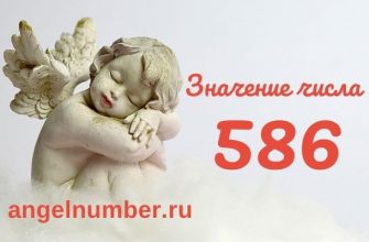 значение числа 586 ангельская нумерология