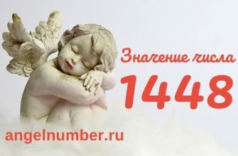 1448 числа ангельская нумерология