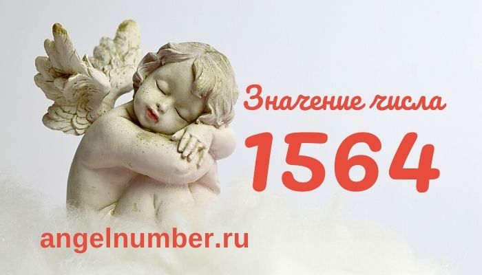1564 значение числа ангельская нумерология