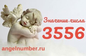 3556 значение числа ангельская нумерология