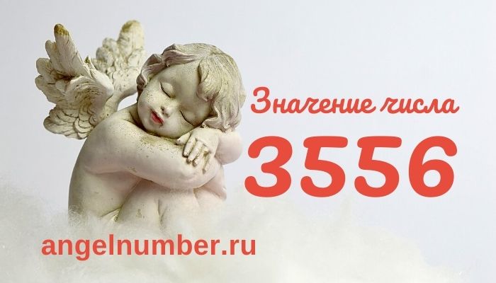 3556 значение числа ангельская нумерология