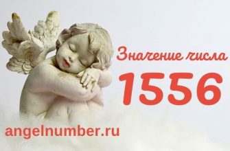 число 1556