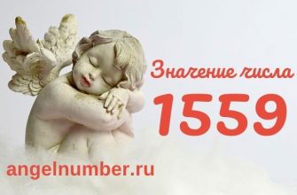 число 1559