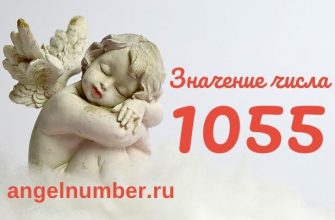 число 1055