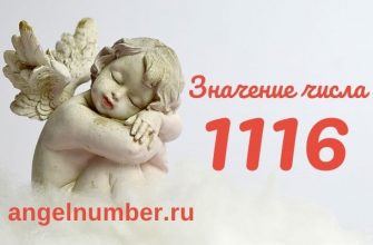 число 1116