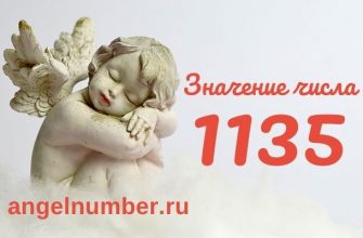 число 1135