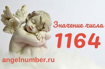 число 1164