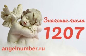 число 1207