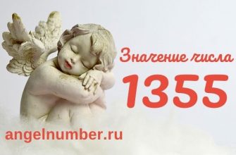 число 1355