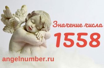 число 1558