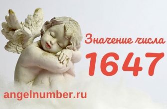 число 1647