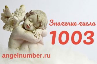 число 1003