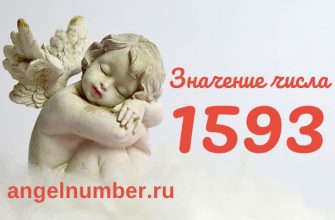 число 1593