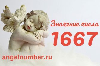 число 1667