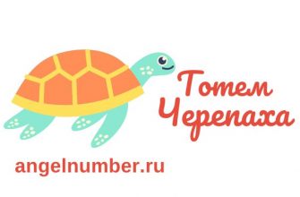 Тотемное животное Черепаха