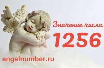 число 1256