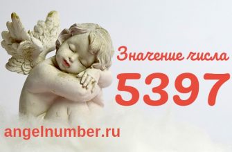 число 5397