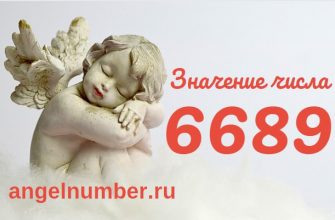 число 6689