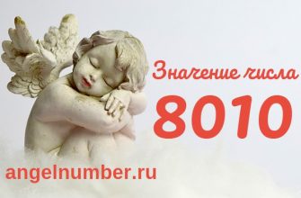 Число 8010