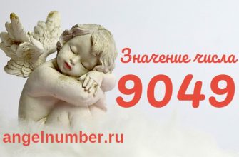 число 9049