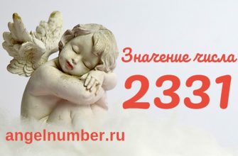 число 2331