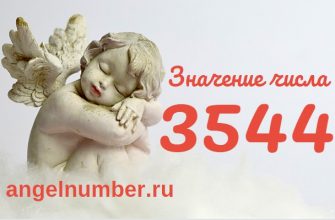 число 3544