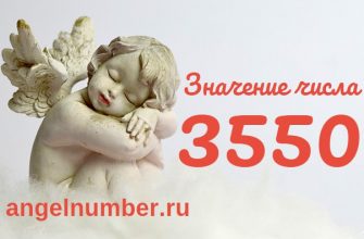 число 3550