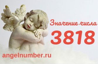 число 3818