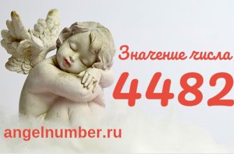 число 4482