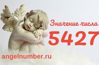 число 5427