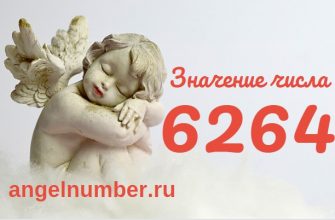 число 6264