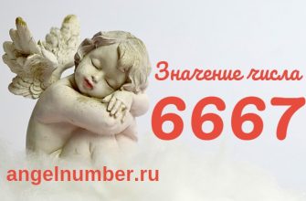 число 6667