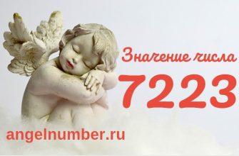 число 7223