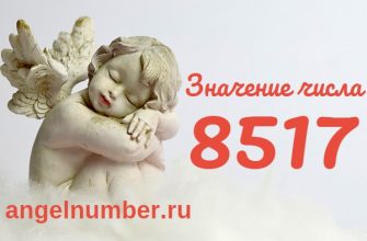 число 8517