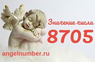 число 8705