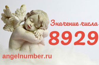 число 8929