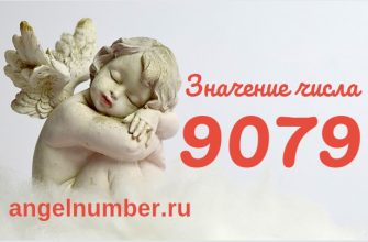 число 9079