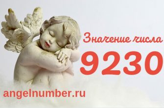 число 9230