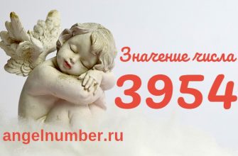 число 3954