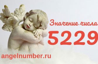 число 5229