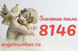 Число 8146