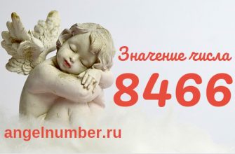 число 8466