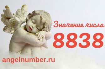 число 8838