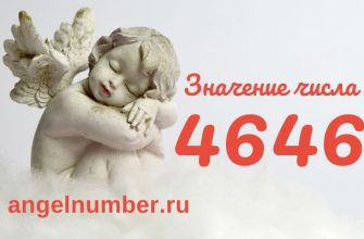 Число 4646 ангельская нумерология