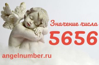 Ангельское число 5656